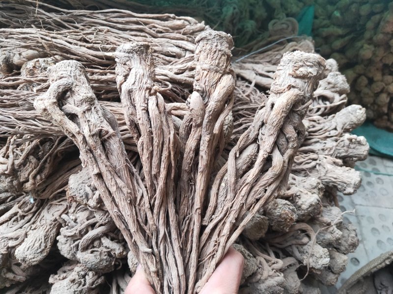 无硫大条当归岷县优质全当归精选优质产地直供