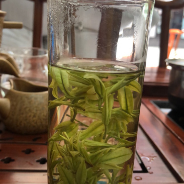 恩施富硒白茶