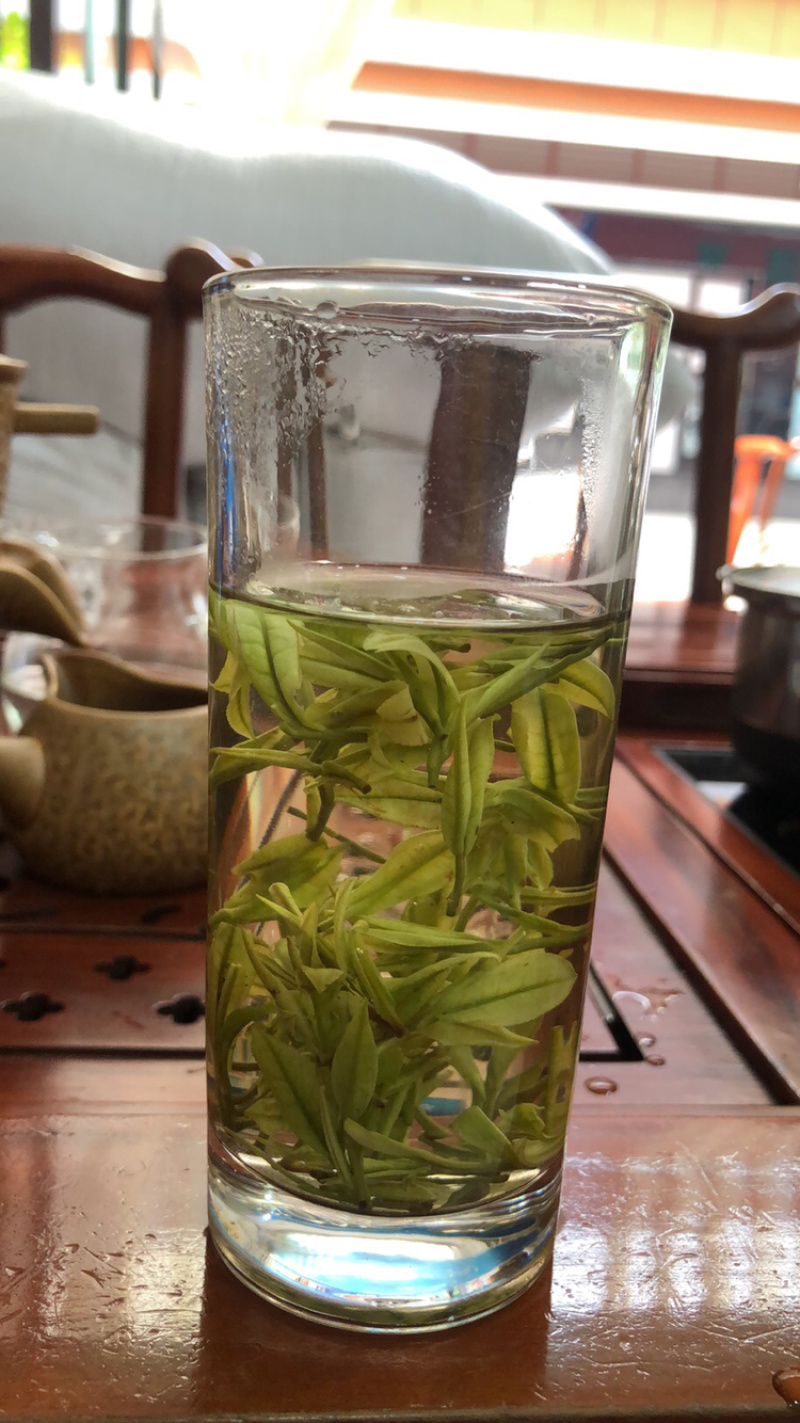 恩施富硒白茶