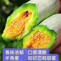 【推荐】山东寿光羊角蜜甜瓜原产地直供电商团购市场批发