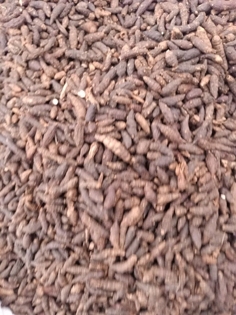 香附炒香附各种规格无碎颗粒批发零售