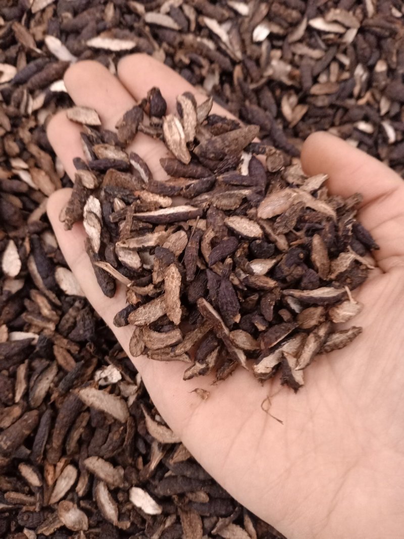 香附炒香附各种规格无碎颗粒批发零售