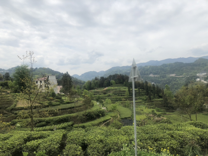 批发零售