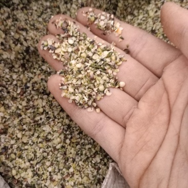 火麻仁火麻仁纯仁不带外科零售批发