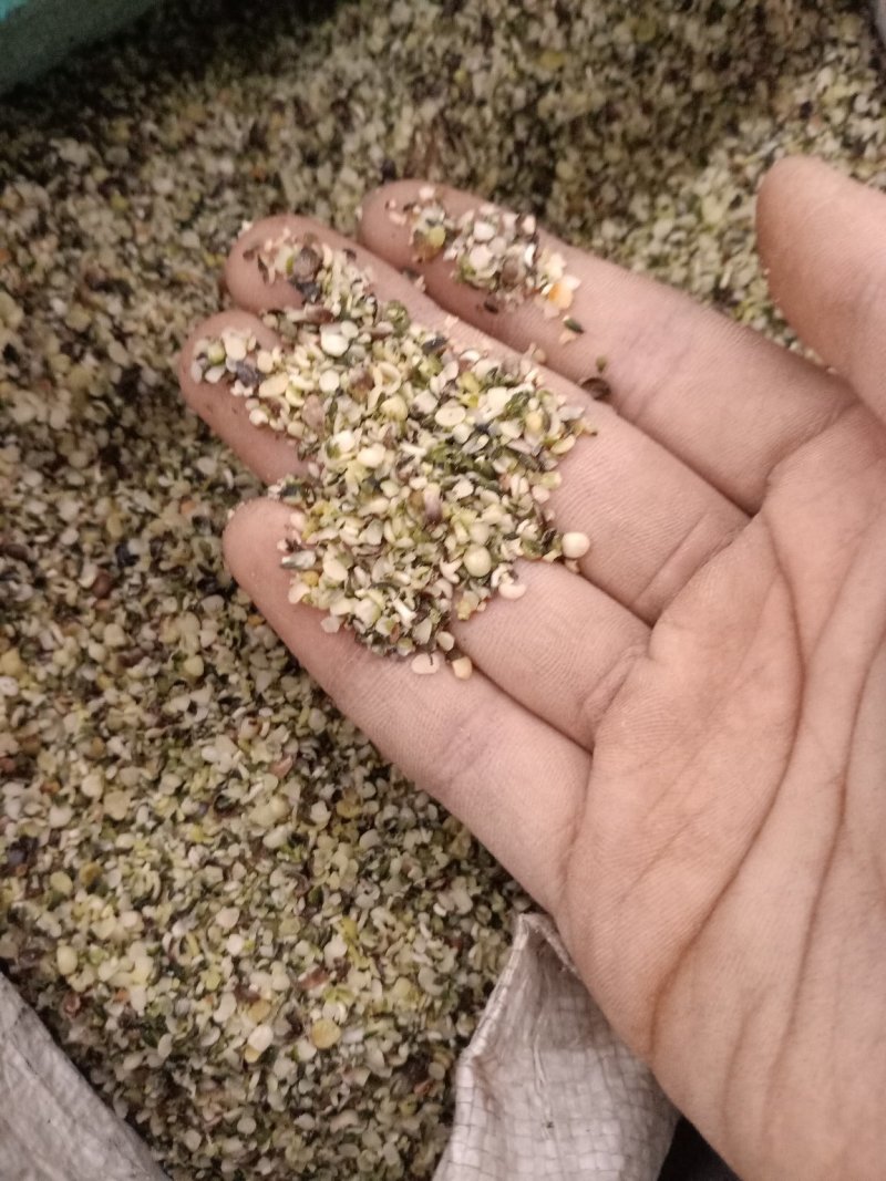 火麻仁火麻仁纯仁不带外科零售批发
