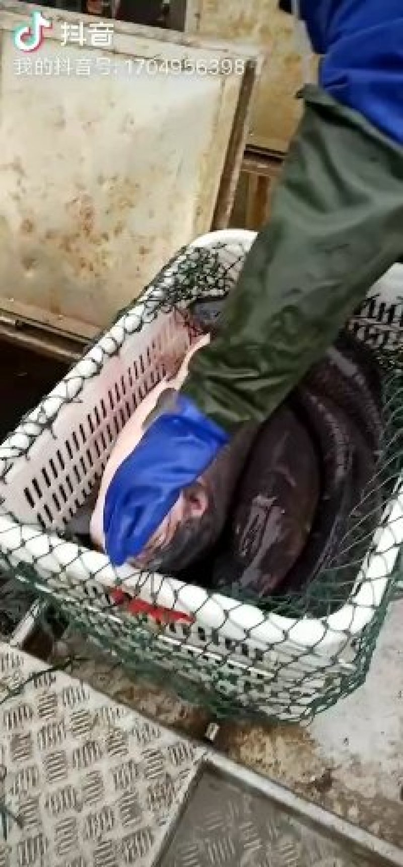 水产干货