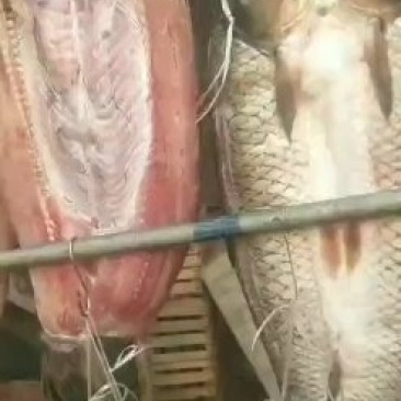 水产干货