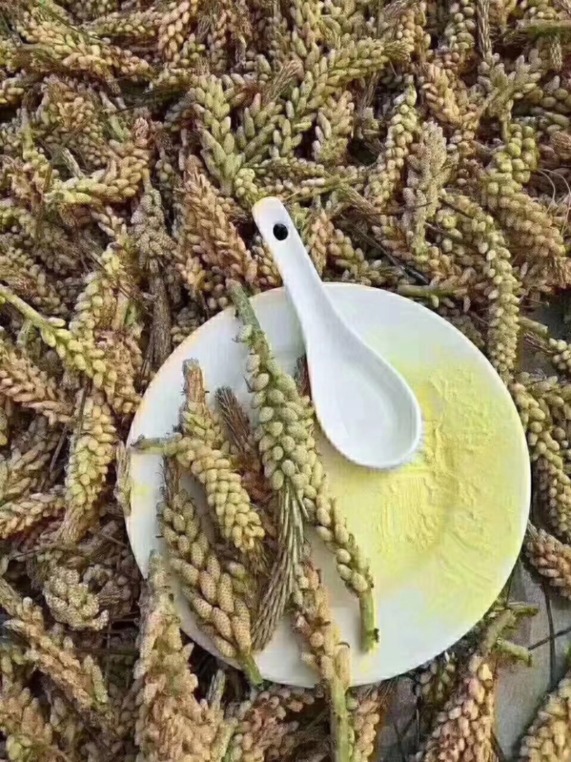 长白山本地松花粉，纯正的松花粉，自产自销，产地直达