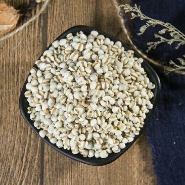 小薏米仁薏苡仁薏米薏仁茶中药材