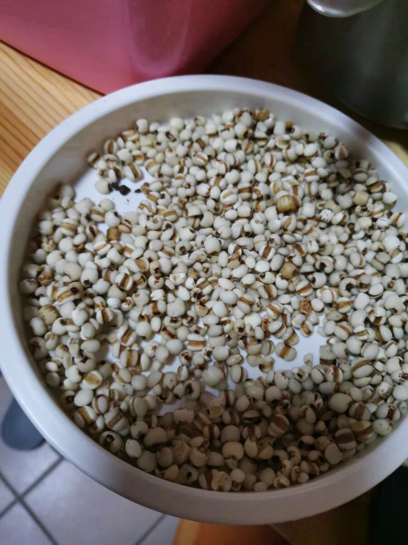 小薏米仁薏苡仁薏米薏仁茶中药材