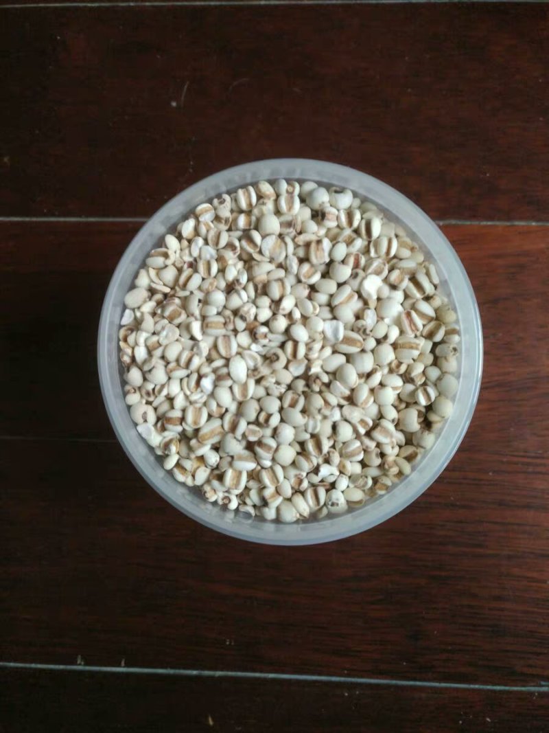 小薏米仁薏苡仁薏米薏仁茶中药材