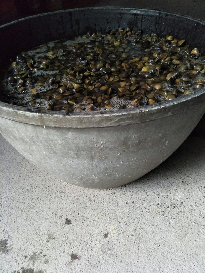 预约，螺丝，黄砚，黄沙砚子人工掏。