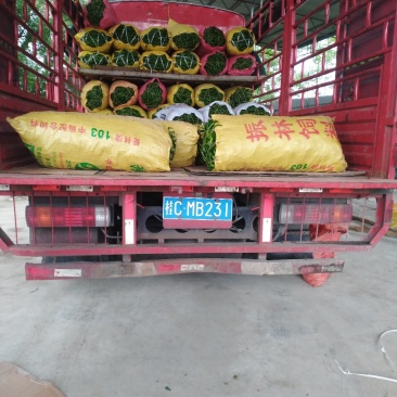 广西特产