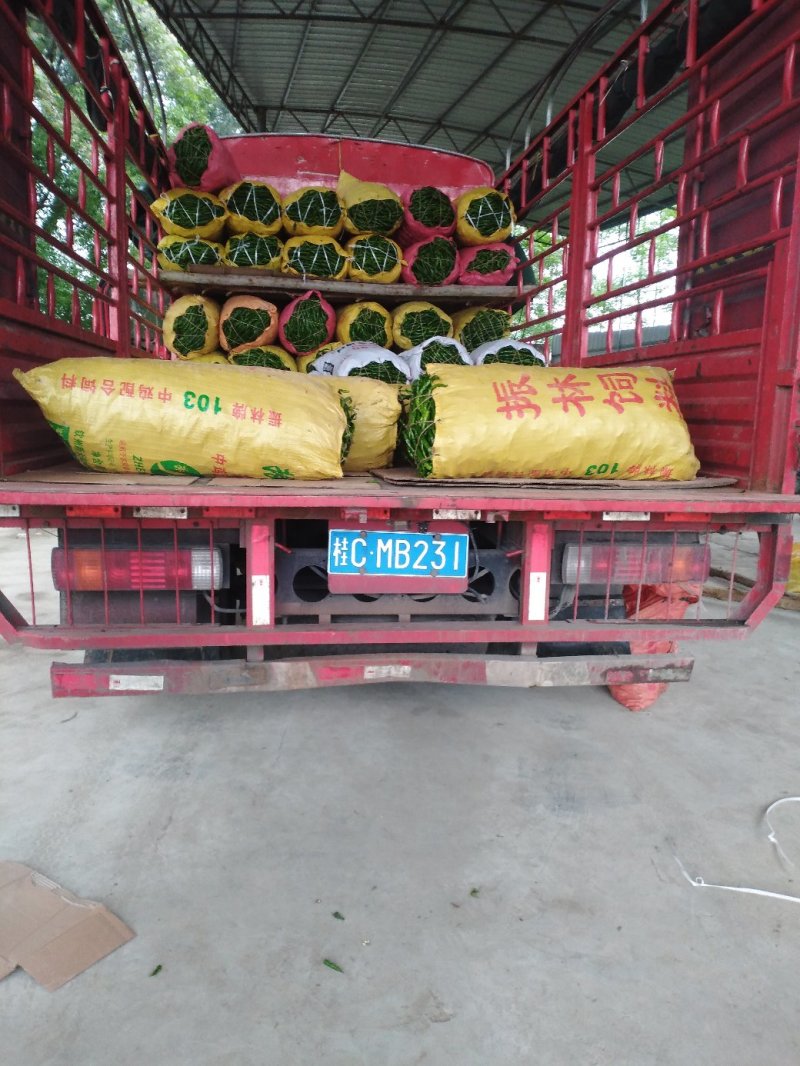 广西特产