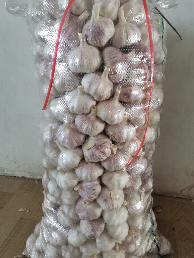 精品金乡紫皮大蒜，产地直发代发全国，专业加工规格齐全