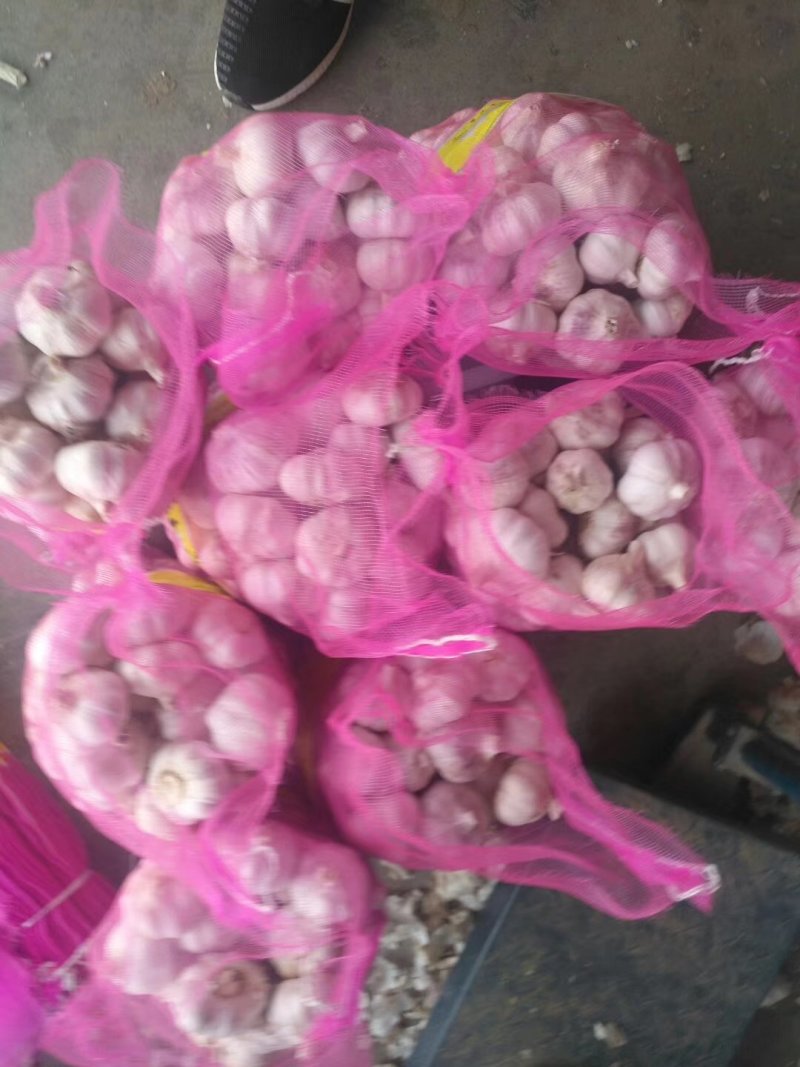 精品金乡紫皮大蒜，产地直发代发全国，专业加工规格齐全