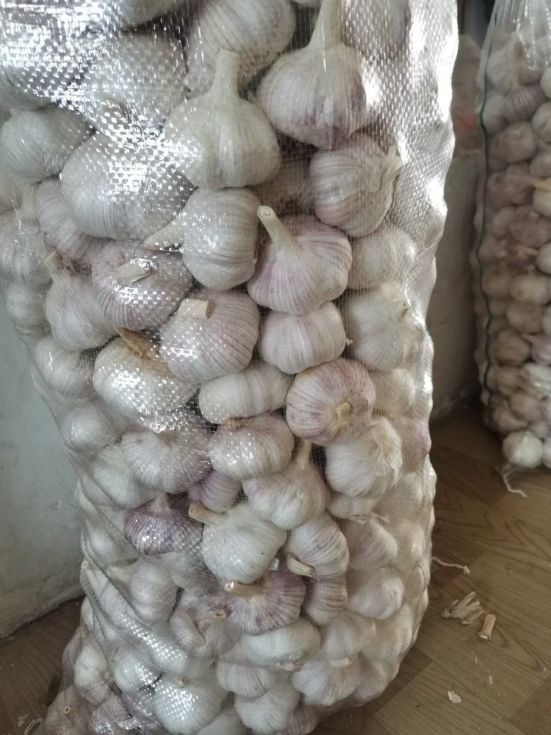 精品金乡紫皮大蒜，产地直发代发全国，专业加工规格齐全