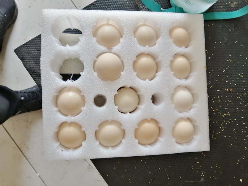 定位包装