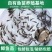 （推荐）优质鱼苗，鲫鱼苗，彭泽鲫，青龙鲫中科3号
