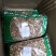 防风中药材北防风防风中草药