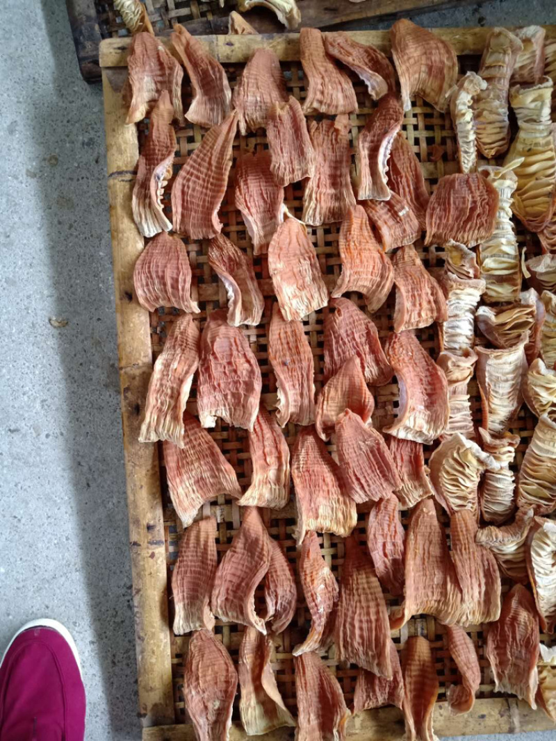 福建好货笋干开始上市