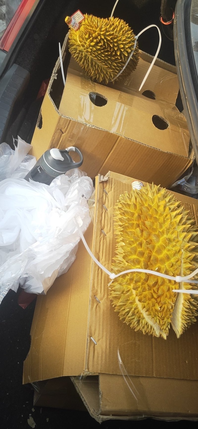 泰国金枕榴莲，一件代发