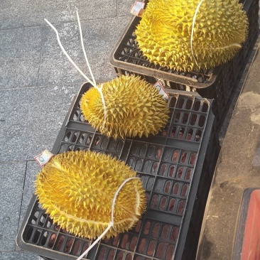 泰国金枕榴莲，一件代发