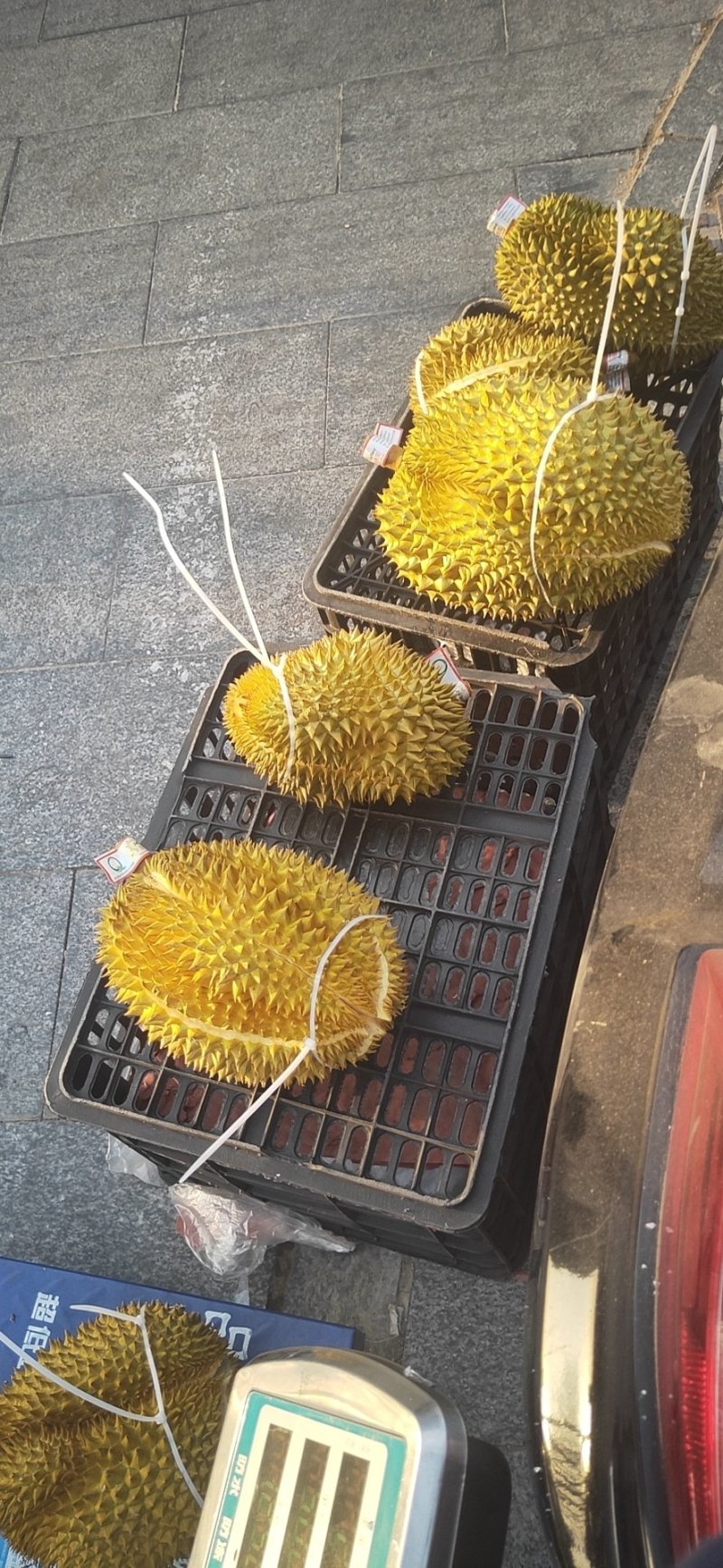 泰国金枕榴莲，一件代发