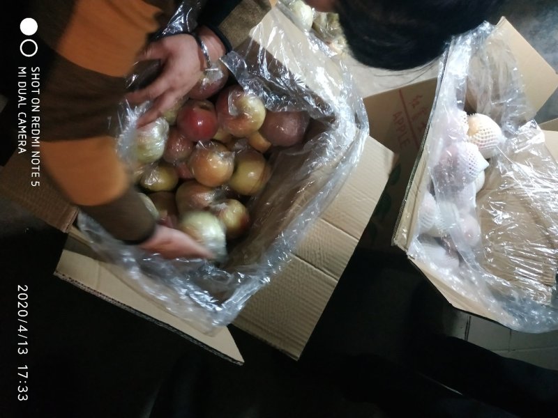 冰糖心富士萍果馆陶县众康果品站大量供应各种水果