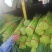 精品红帽蒜薹保质保量量大从优一手货源