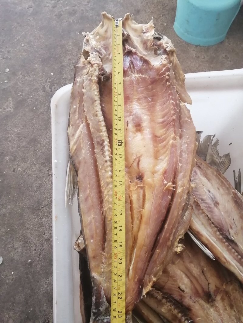 翘嘴白白鱼开背翘白小鱼干干货1斤起步