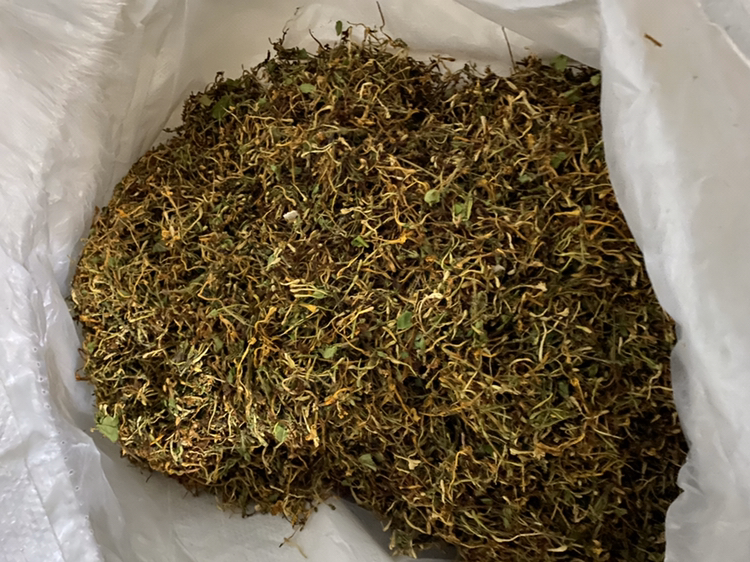 地枇杷藤煮好的茶水呈淡黄色,清澈透明,香气自然 地枇杷藤成品茶饮