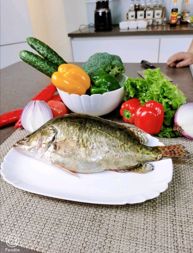 桂鱼鳜鱼活桂鱼鲜桂鱼，红烧清蒸，常年供货，量大质优