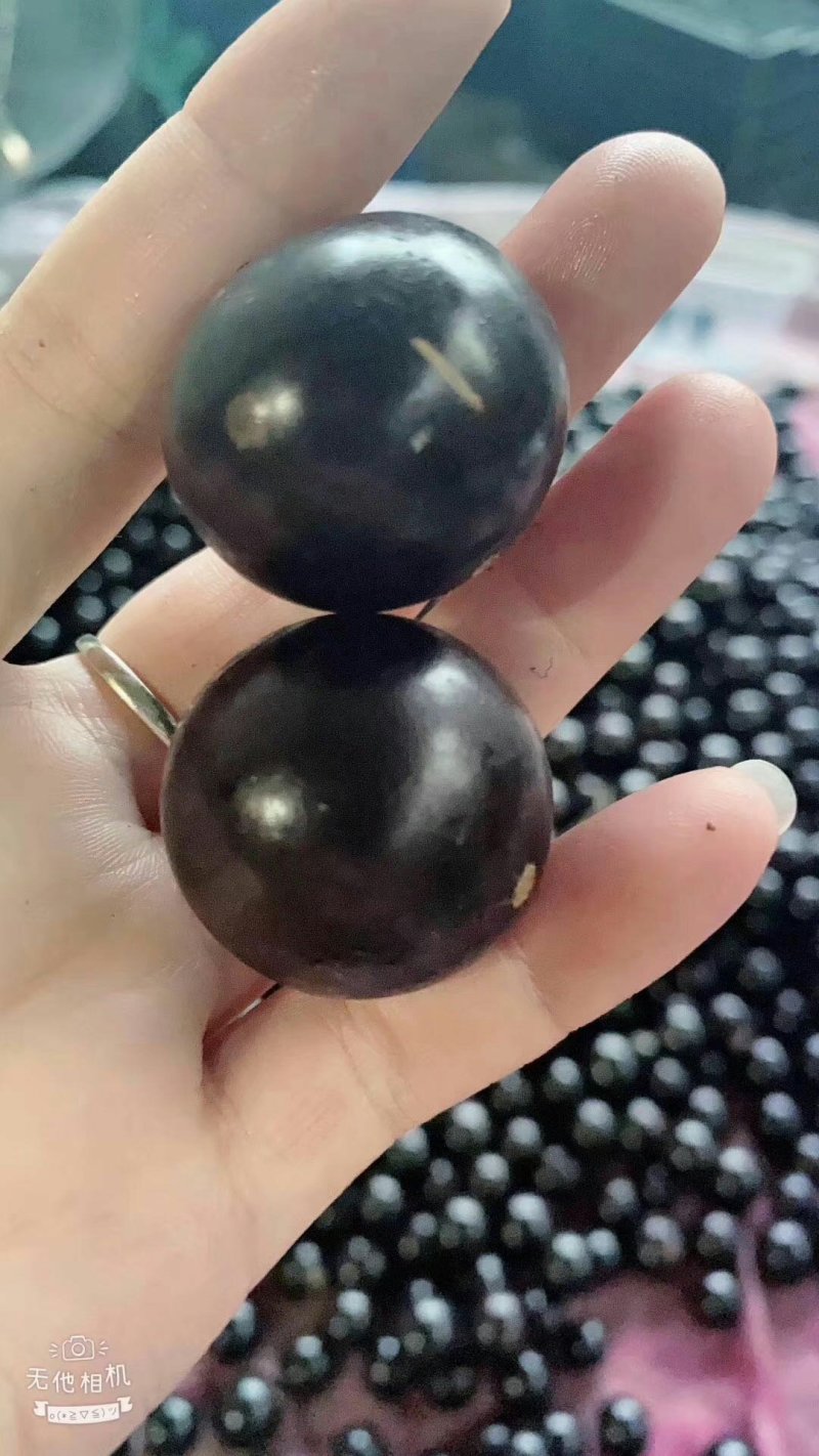 树葡萄沙巴嘉宝果热带水果