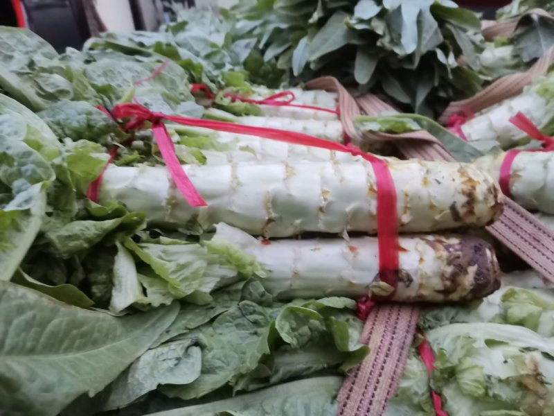 莴笋高原夏菜品质保证