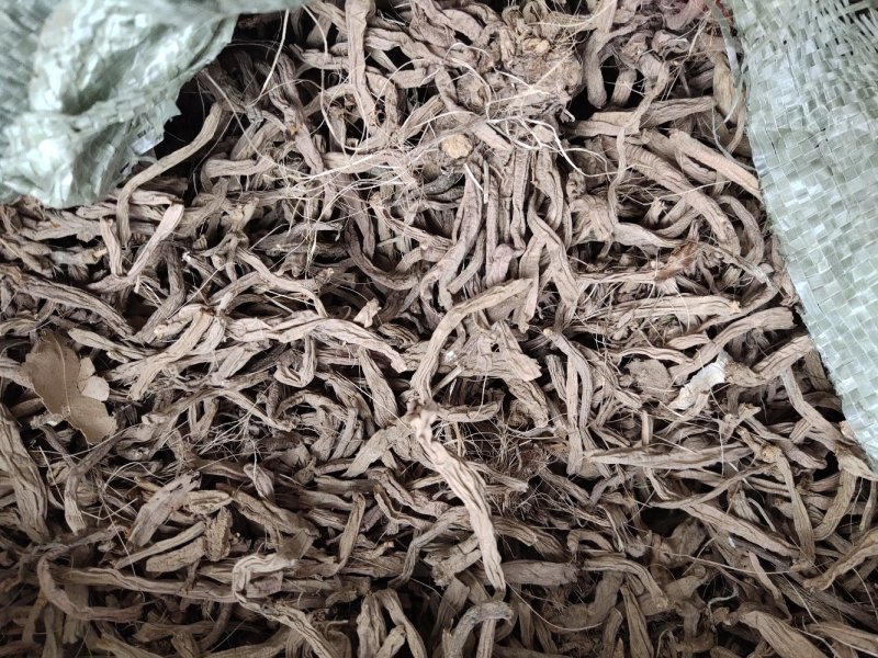 萱草根