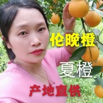 优选湖北伦晚脐橙，口感甜新鲜，果大。可视频看货专业代办