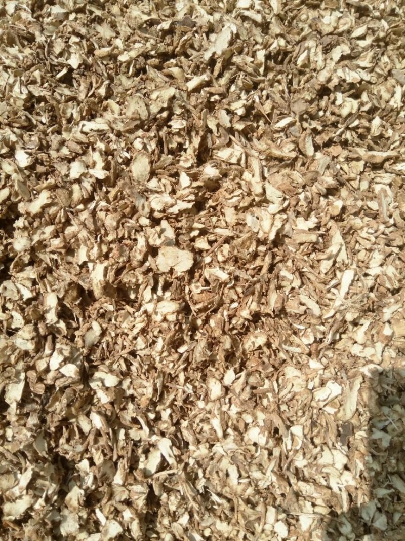 知母苗，产地供货成活率高，高含量耐干旱贫瘠效益好