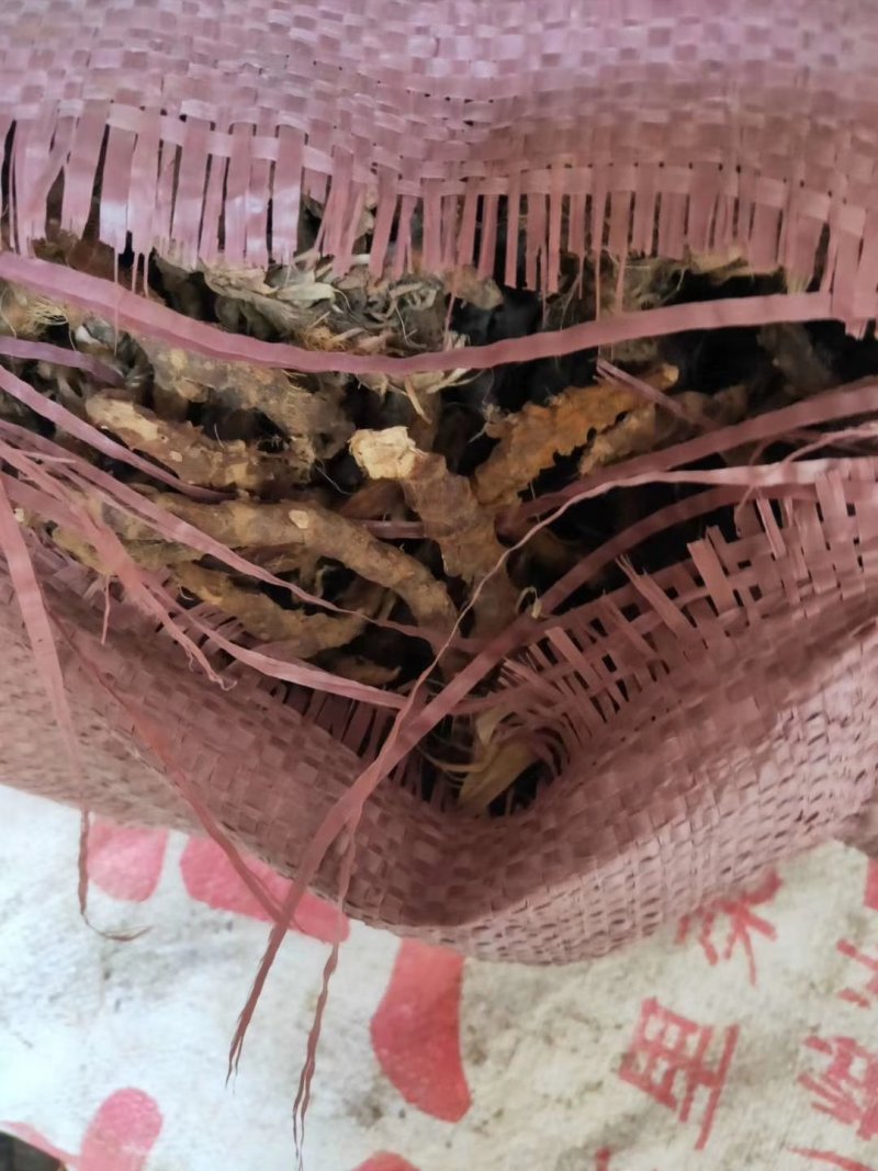 【产地直供】石菖蒲江西野生统条切片足干芳香十足