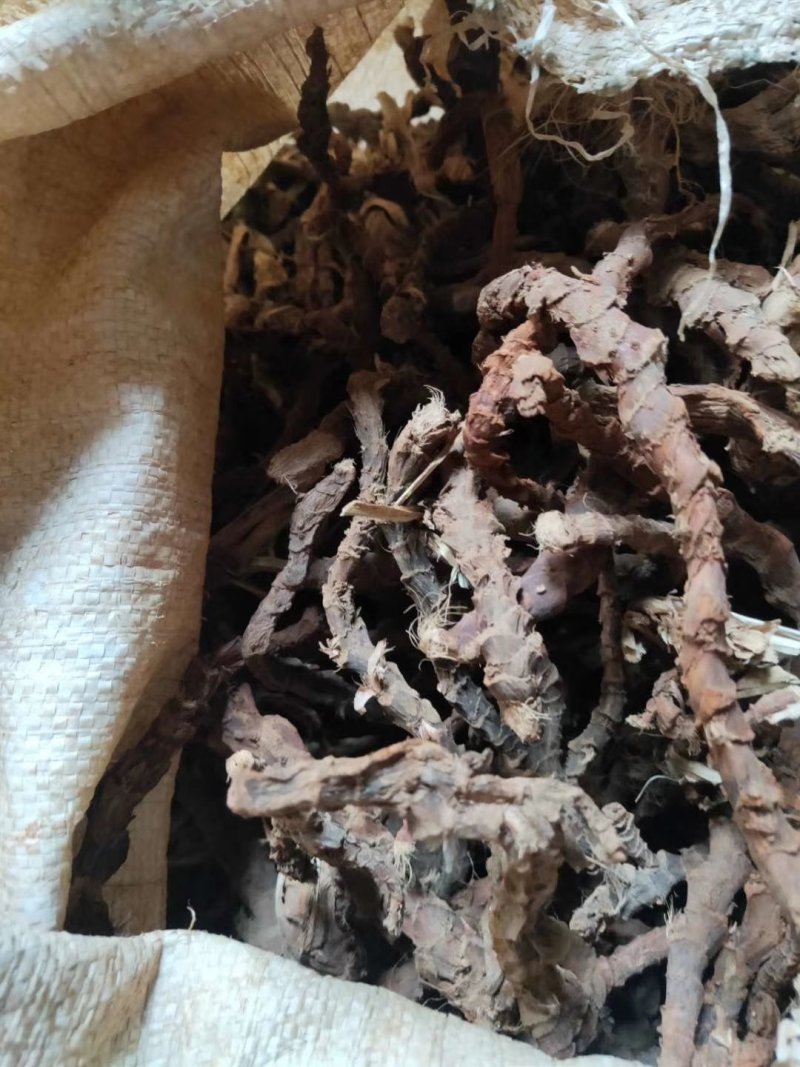 【产地直供】石菖蒲江西野生统条切片足干芳香十足