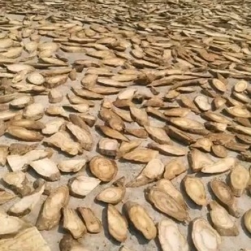 优质生态葛根干片自产自销高含量价格低