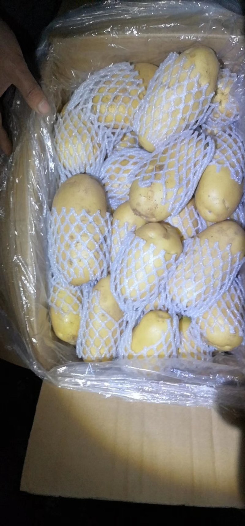 【产地直销】山东荷兰15土豆价格便宜黄皮黄心质量好量大
