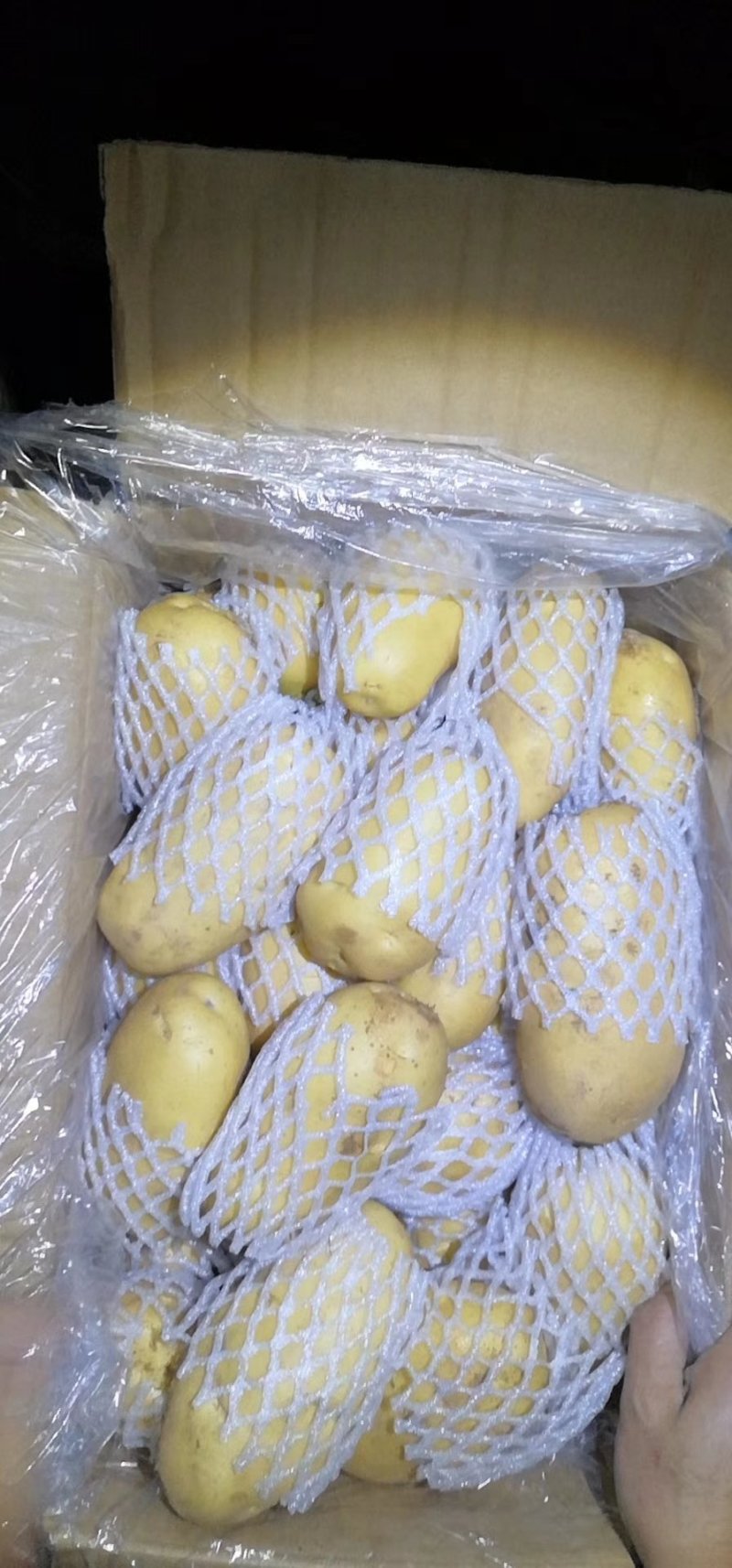 【产地直销】山东荷兰15土豆价格便宜黄皮黄心质量好量大