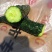 河南鹿邑精品刺瓜25~30公分干花带刺