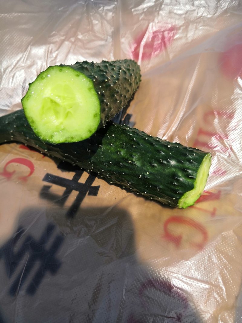 河南鹿邑精品刺瓜25~30公分干花带刺