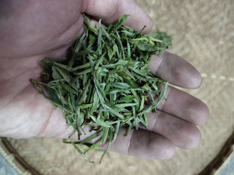 安徽茶叶黄山毛峰二级绿茶新茶春茶雨前茶高山茶嫩芽