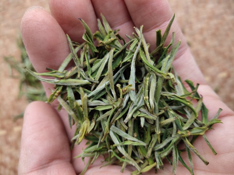 安徽茶叶黄山毛峰二级绿茶新茶春茶雨前茶高山茶嫩芽