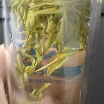 安徽茶叶黄山毛峰二级绿茶新茶春茶雨前茶高山茶嫩芽