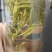 安徽茶叶黄山毛峰二级绿茶新茶春茶雨前茶高山茶嫩芽