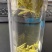 安徽茶叶黄山毛峰二级绿茶新茶春茶雨前茶高山茶嫩芽